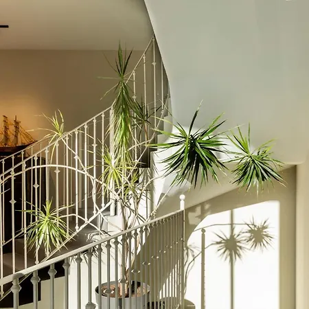 Apartment Plaza Center *