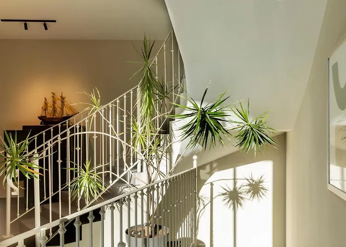 Apartment Plaza Center *